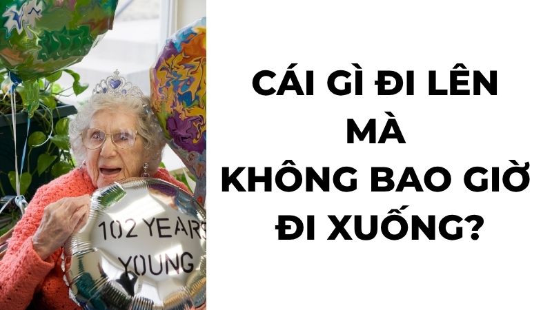 Cái gì đi lên mà không bao giờ đi xuống?