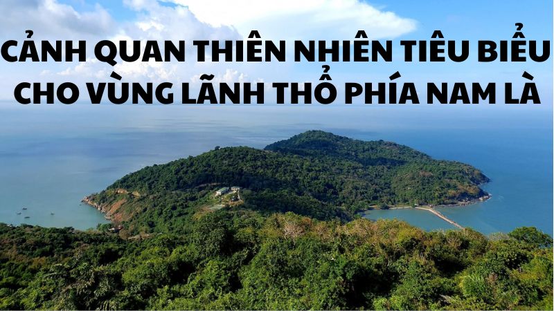 Cảnh quan thiên nhiên tiêu biểu cho vùng lãnh thổ phía Nam là