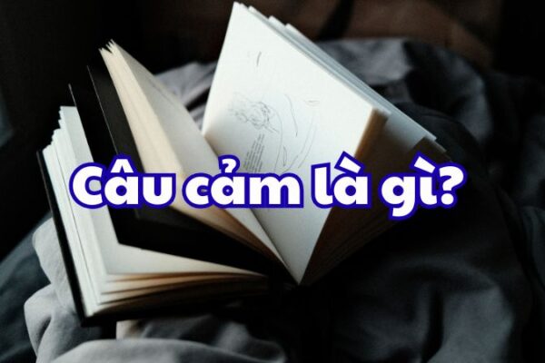 Câu cảm là gì?