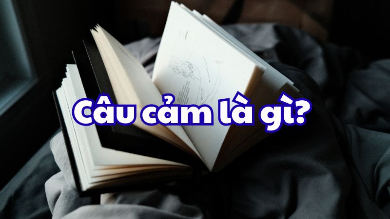 Câu cảm là gì?