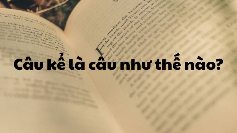 Câu kể là câu như thế nào?