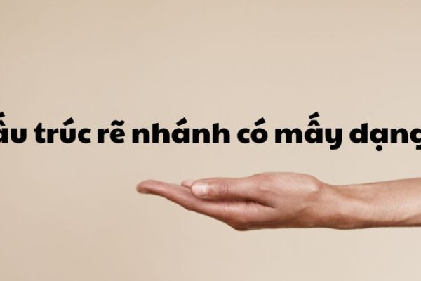 Cấu trúc rẽ nhánh có mấy dạng?