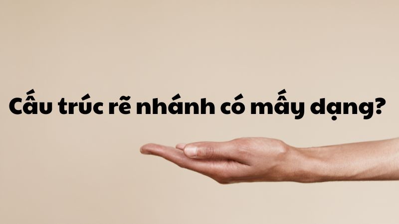 Cấu trúc rẽ nhánh có mấy dạng?