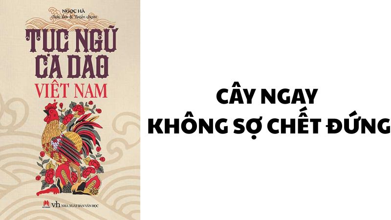 Cây ngay không sợ chết đứng
