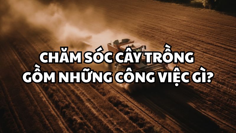 Chăm sóc cây trồng gồm những công việc gì?
