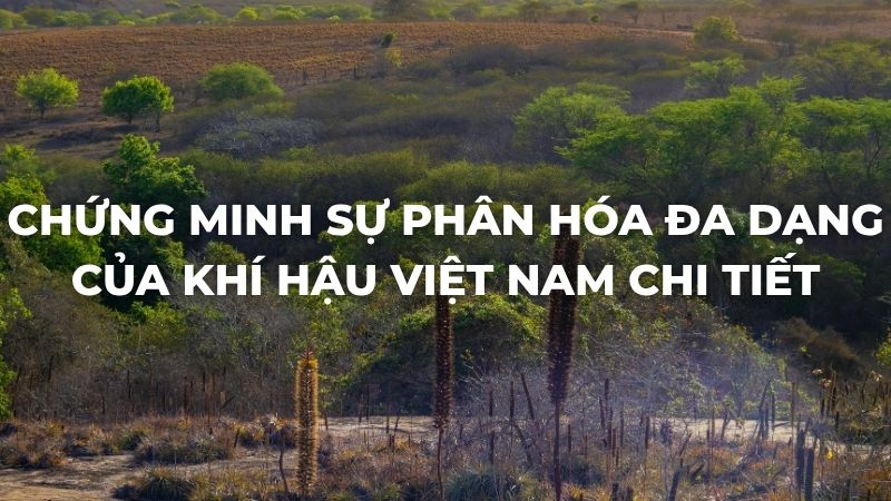Chứng minh sự phân hóa đa dạng của khí hậu Việt Nam