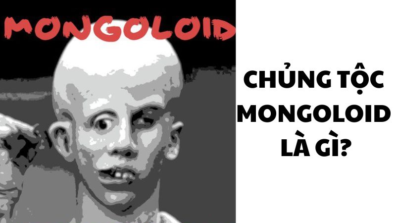 Chủng tộc Mongoloid là gì?