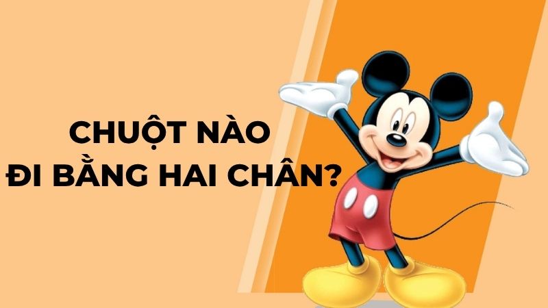 Chuột nào đi bằng hai chân?