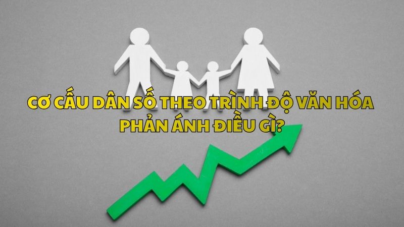 Cơ cấu dân số theo trình độ văn hóa phản ánh điều gì?