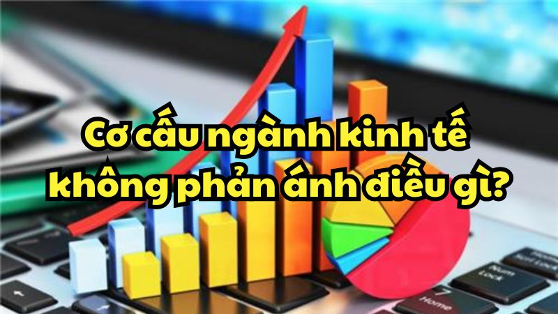 Cơ cấu ngành kinh tế không phản ánh điều gì?