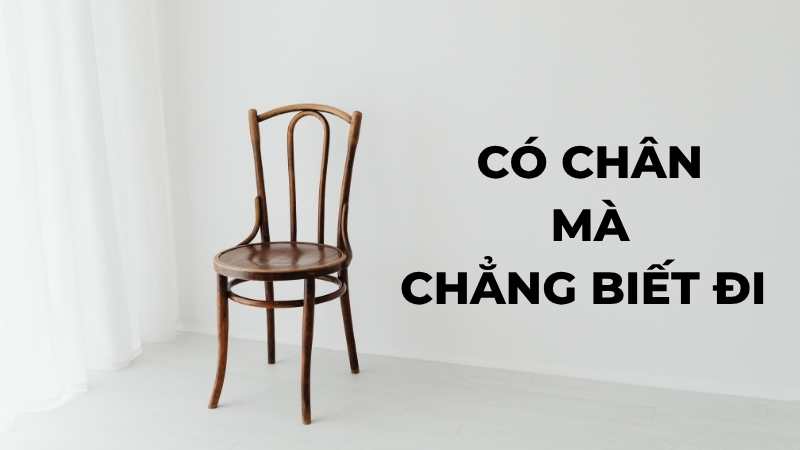 Có chân mà chẳng biết đi