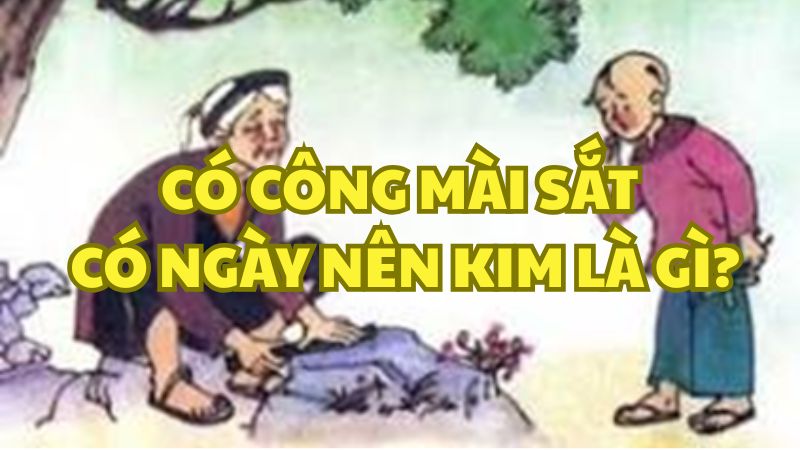 Có công mài sắt có ngày nên kim là gì?
