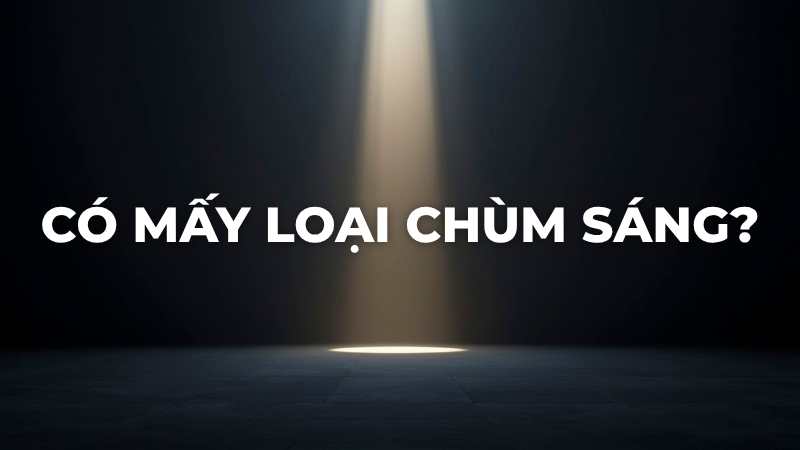 Có mấy loại chùm sáng?