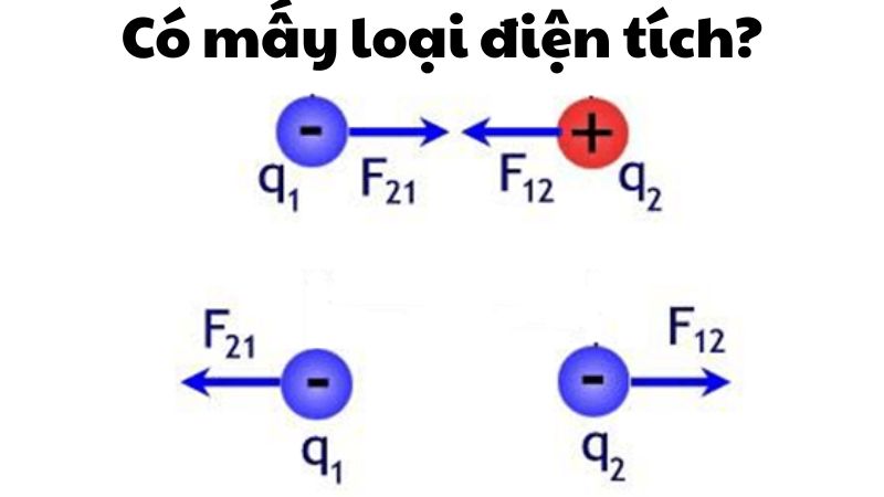 Có mấy loại điện tích?