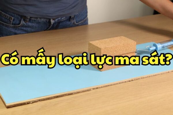 Có mấy loại lực ma sát