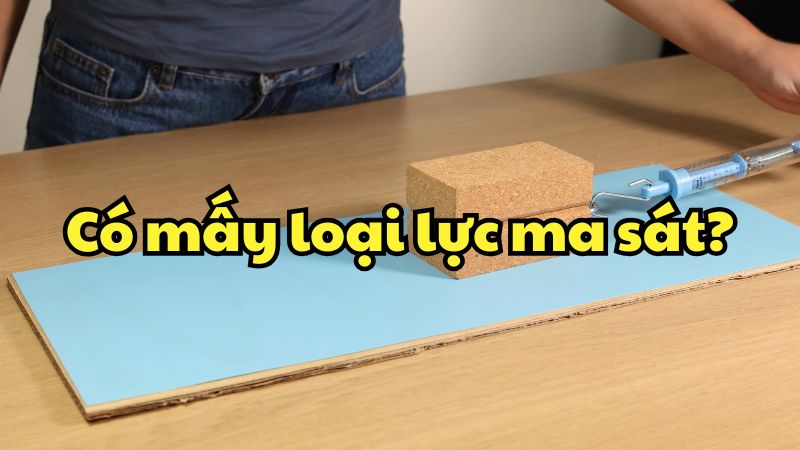 Có mấy loại lực ma sát