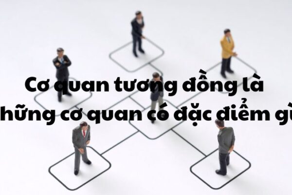 Cơ quan tương đồng là những cơ quan có đặc điểm gì?