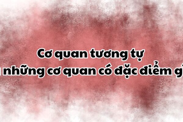 Cơ quan tương tự là những cơ quan có đặc điểm gì?