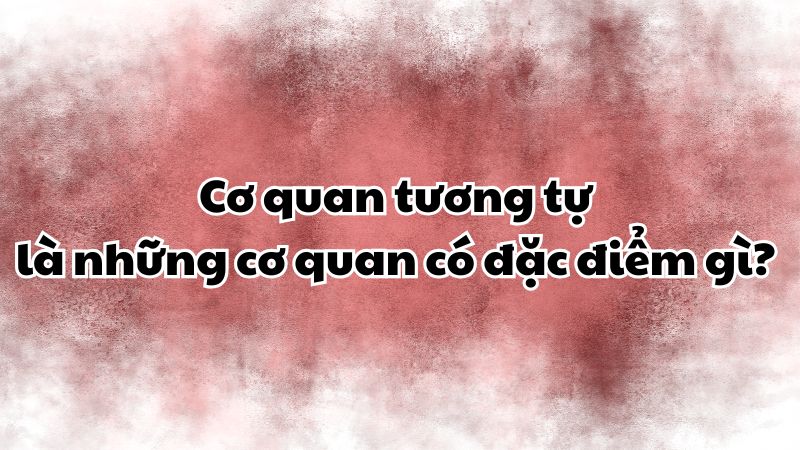 Cơ quan tương tự là những cơ quan có đặc điểm gì?