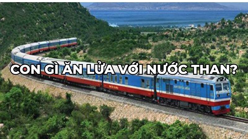 Con gì ăn lửa với nước than?