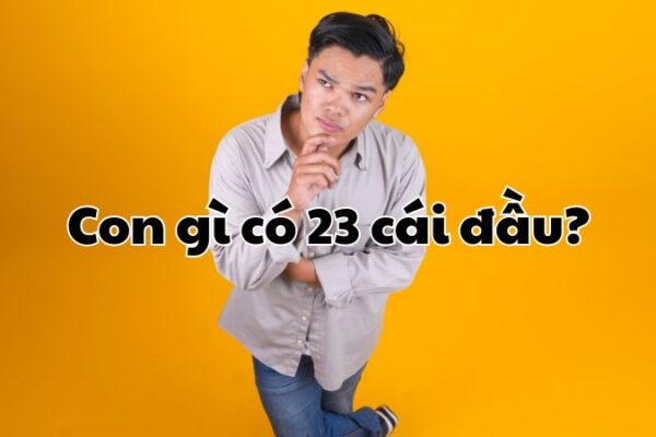 Con gì có 23 cái đầu?