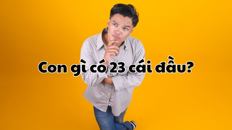 Con gì có 23 cái đầu?