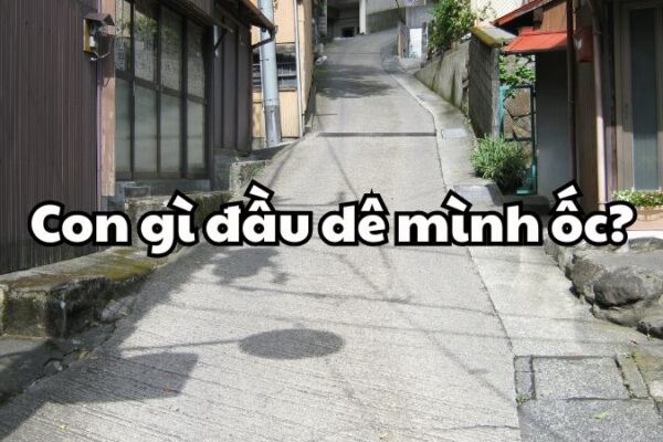 Con gì đầu dê mình ốc?