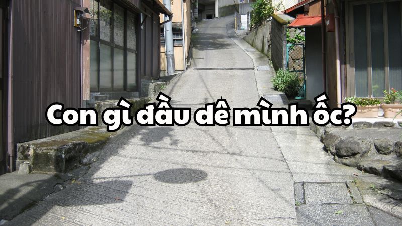 Con gì đầu dê mình ốc?