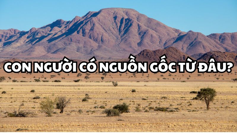 Con người có nguồn gốc từ đâu?