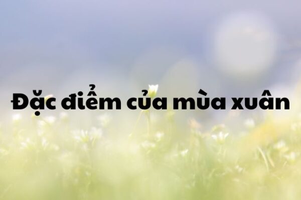 Đặc điểm của mùa xuân
