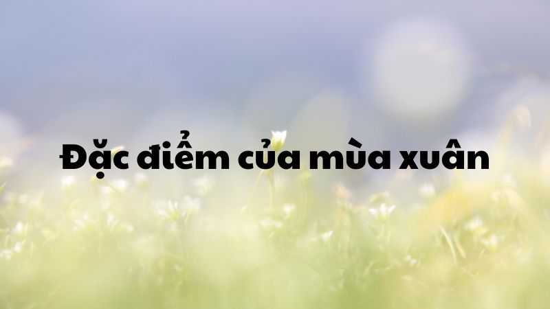 Đặc điểm của mùa xuân