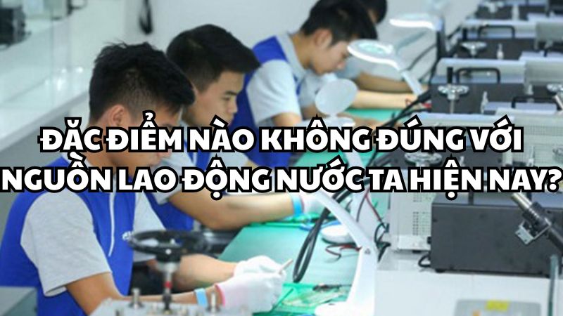 Đặc điểm nào không đúng với nguồn lao động nước ta hiện nay?
