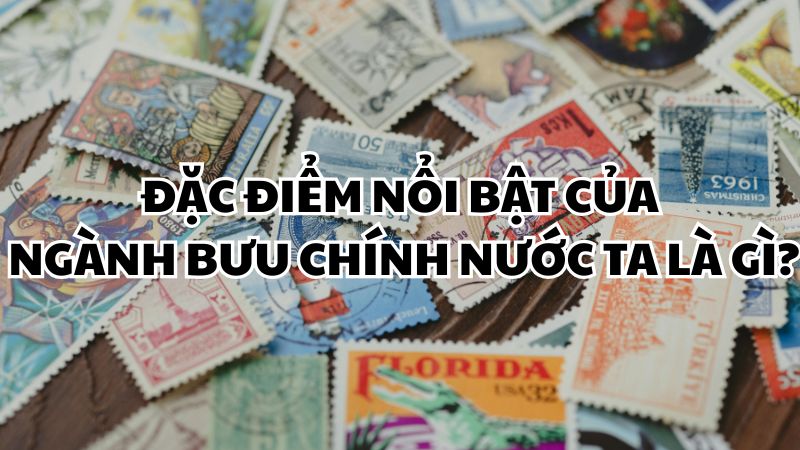 Đặc điểm nổi bật của ngành bưu chính nước ta là gì?