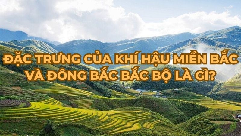 Đặc trưng của khí hậu miền Bắc và Đông Bắc Bắc Bộ là gì?