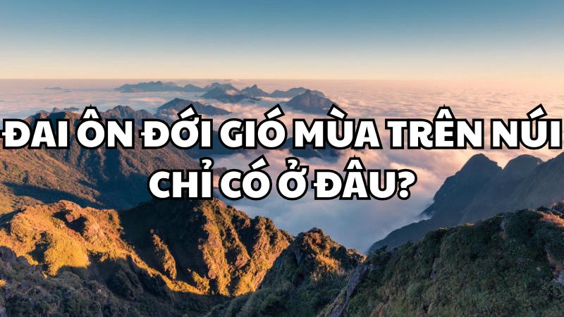 Đai ôn đới gió mùa trên núi chỉ có ở khu vực nào?