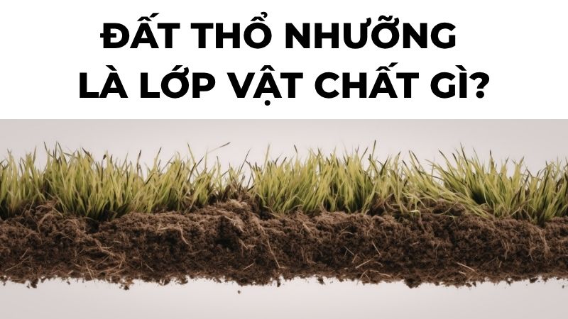 Đất thổ nhưỡng là lớp vật chất gì?