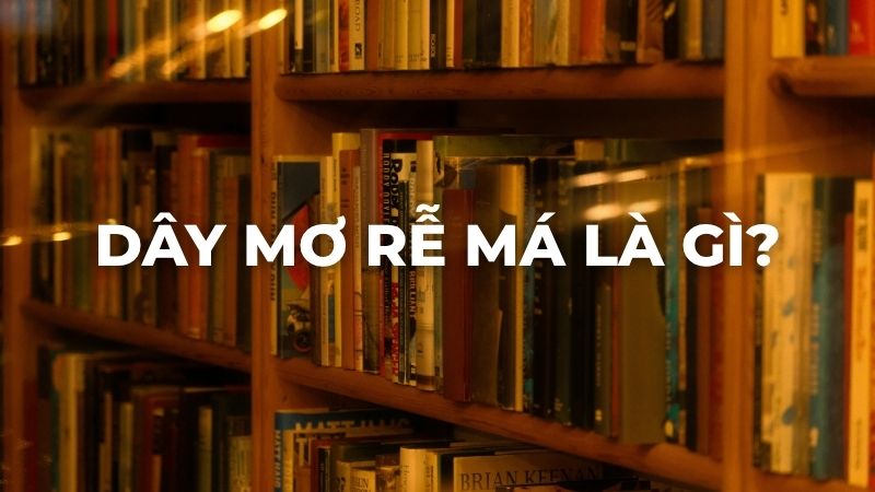 Dây mơ rễ má là gì?