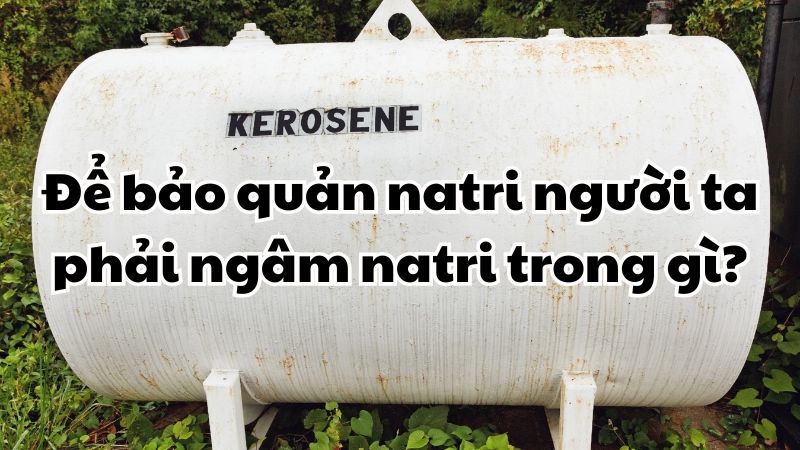 Để bảo quản natri người ta phải ngâm natri trong gì?