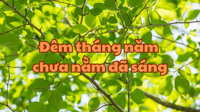 Đêm tháng năm chưa nằm đã sáng