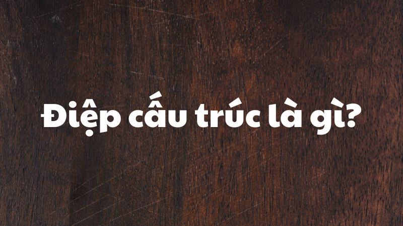 Điệp cấu trúc là gì?