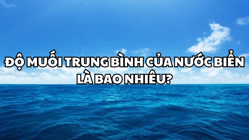 Độ muối trung bình của nước biển là bao nhiêu?