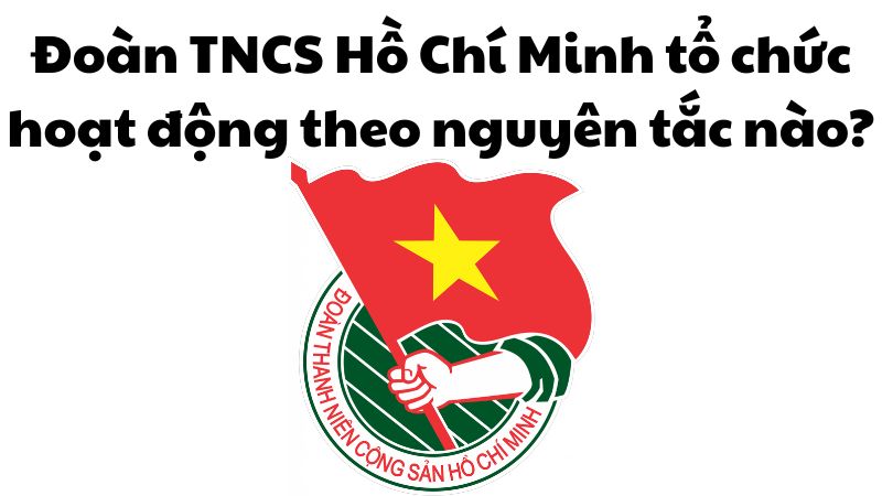 Đoàn TNCS Hồ Chí Minh tổ chức hoạt động theo nguyên tắc nào?