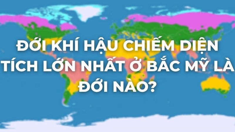 Đới khí hậu chiếm diện tích lớn nhất ở Bắc Mỹ là đới nào?
