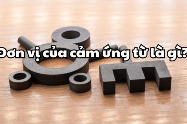 Đơn vị của cảm ứng từ là