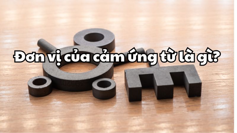 Đơn vị của cảm ứng từ là