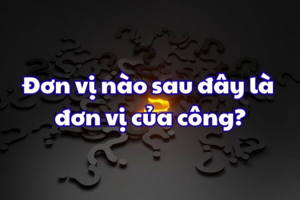 Đơn vị nào sau đây là đơn vị của công?
