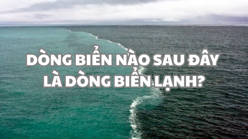 Dòng biển nào sau đây là dòng biển lạnh?