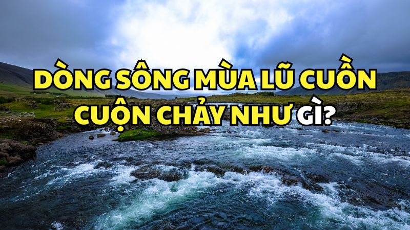Dòng sông mùa lũ cuồn cuộn chảy như gì?