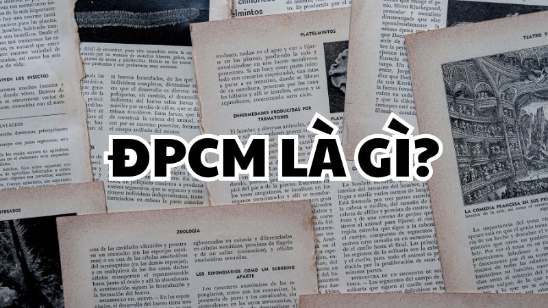 ĐPCM là gì?