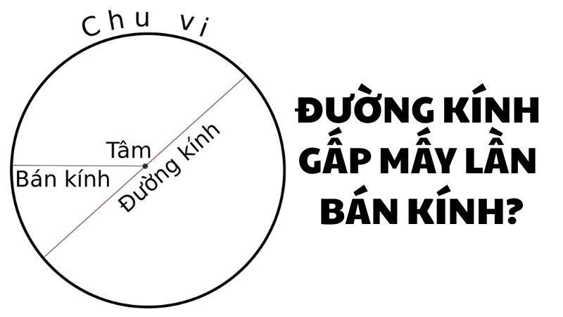 Đường kính gấp mấy lần bán kính?